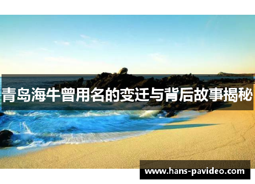 青岛海牛曾用名的变迁与背后故事揭秘